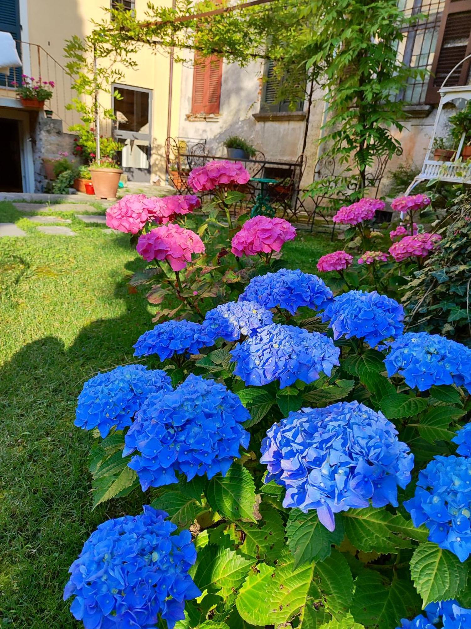 트레메쪼 Casa Lumaca B&B 외부 사진